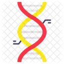 DNA Acido Desoxirribonucleico Fita De DNA Ícone