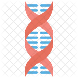 DNA  Icon