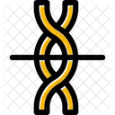 Dna  Icon