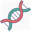 Dna Dna Sequence Dna Strand Icon