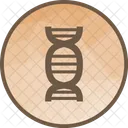 Dna Physiscal Biology Icon