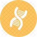 Dna Molecule Science Icon
