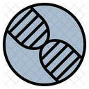 Dna Deoxyribonucleic Virus Icon