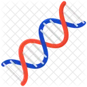 Dna Deoxyribonucleic Acid Nucleic Acid Icon