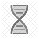 Dna Structure Icon