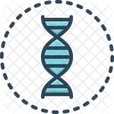Dna Chromosome Human Icon