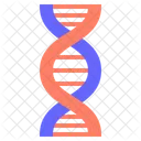 Dna Chromosome Genetics Icon