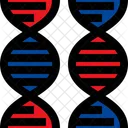 Dna Medical Genetics Icon