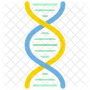 Dna Dna Chain Dna Helix Icon