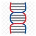 Dna  Icon