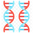 Dna Helix Chromosome Icon