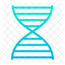 생물학 유전 DNA 구조 아이콘