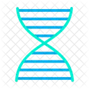 생물학 유전 DNA 구조 아이콘
