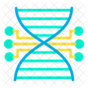 Biology Connection Dna Icon