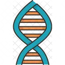 Dna Gene Chromosome Icon