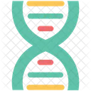 Dna Chain Genetic Icon