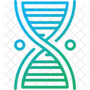 Dna Genetic Structure Icon