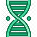 Dna Genetic Structure Icon