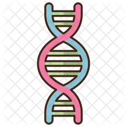 Dna  Icon