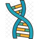 Dna Gene Genome Icon