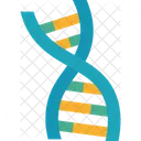Dna Gene Genome Icon