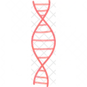 DNA  Icône