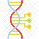Dna Biology Genetic Icon