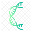 Dna Genetical Doexyribonucleic Icon