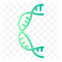 Dna Genetical Doexyribonucleic Icon