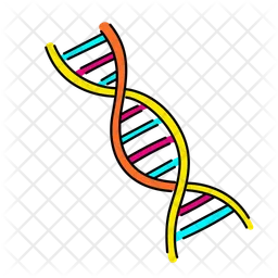 Dna  Icon