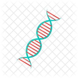 DNA  Icon