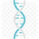DNA Chain  Icon
