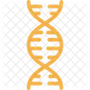 DNA Chain  Icon