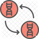 Dna clone  Icon