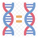 Dna Gemeo Dna Dupla Helice Ícone