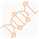 Helice De DNA Ícone