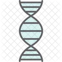 Biologia Cromossomo DNA Ícone