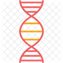 Biologia Cromossomo DNA Ícone