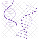 Dna  Icon