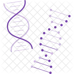 Dna  Icon