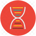 Dna Chain Helix Icon