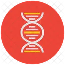 Dna Chain Helix Icon