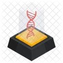 Dna Deoxyribonucleic Acid Dna Strand Icon