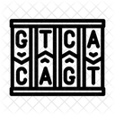Dna Fragment Genetic Icon