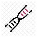 Dna Genetic Code Icon