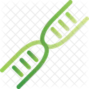 Dna Genetic Code Icon