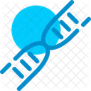 Dna Genetic Code Icon