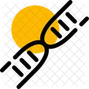 Dna Genetic Code Icon