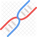 Dna Genetic Code Icon