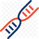 Dna Genetic Code Icon